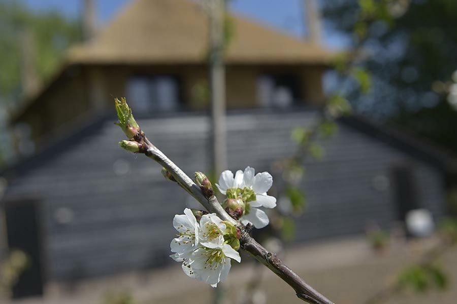 De Steltenberg In De Betuwe Zoelen Extérieur photo