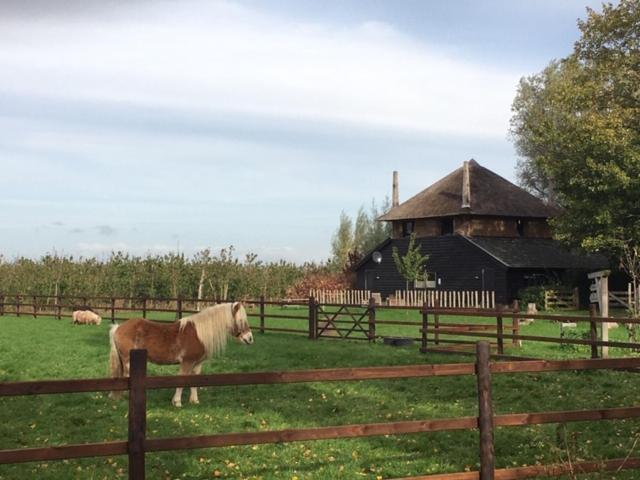 De Steltenberg In De Betuwe Zoelen Extérieur photo